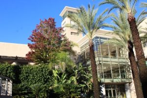 Shasta County Health Agency Loses Second Cfo