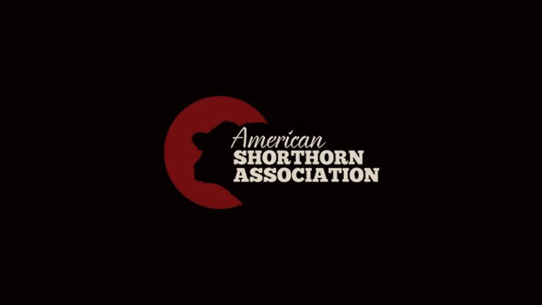 Shorthorn Youth Showcase Skills