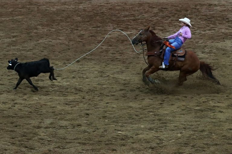 Sokol Park Hosts Pro Rodeo
