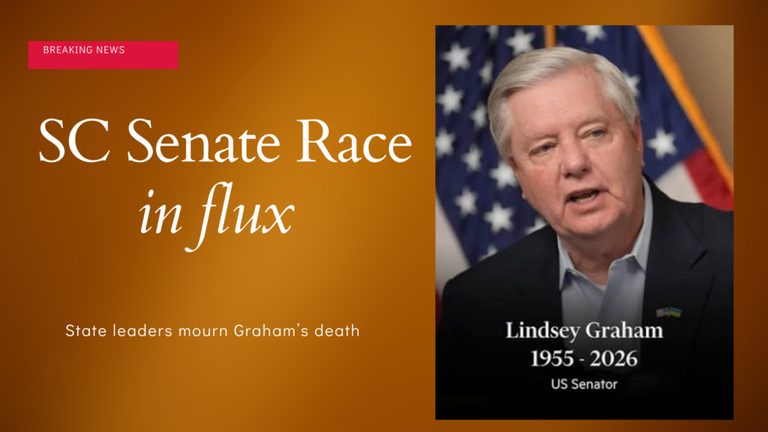 South Carolina S Next Senator