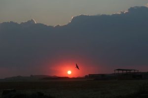 Spain Battles Largest Wildfire