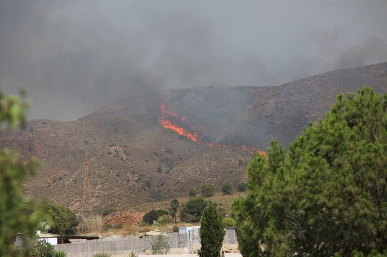 Spanish Wildfire Kills 11