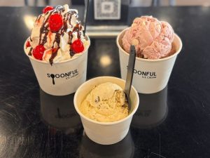 Spoonful Ice Cream In Meridian