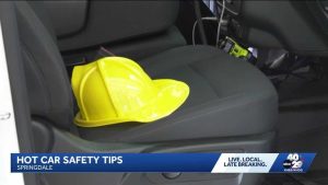Springdale Fire Dept Warns Of Hot Car Dangers