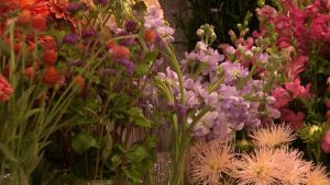 St Matthews Florist Partners With Local Growers