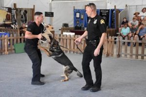 St Pete K 9 Facility Faces Funding Questions