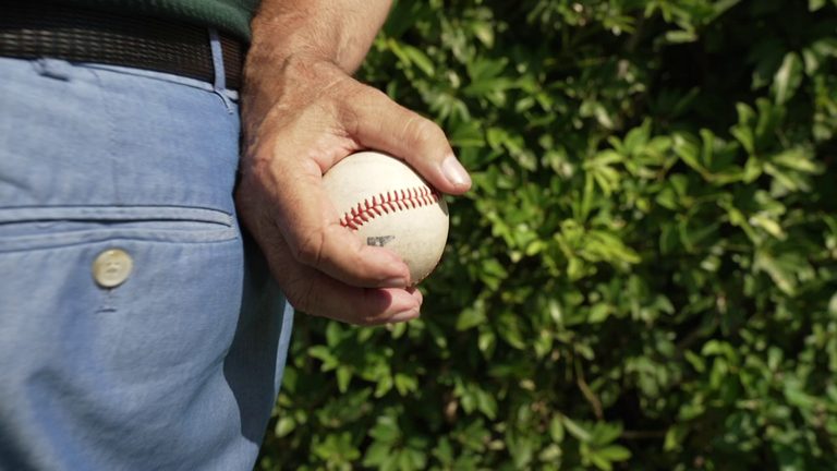 St Petersburg S Spring Training History
