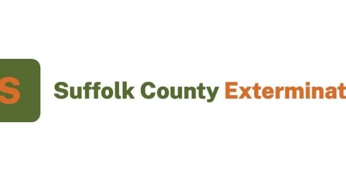 Suffolk County Exterminator Warns Of Rising Pest Activity