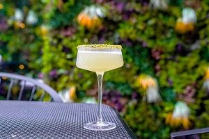 Summer Cocktails