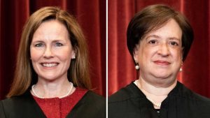 Supreme Court Justices Testify Before Congress