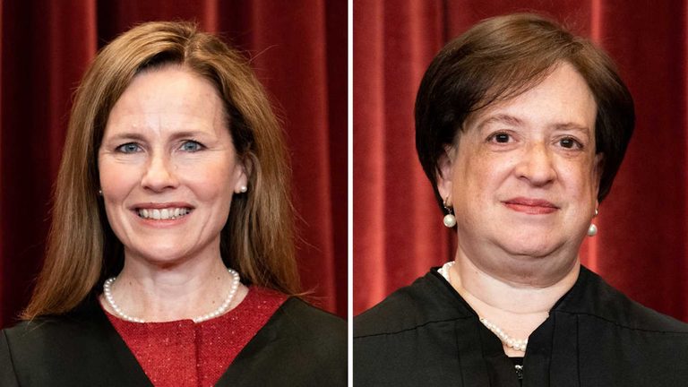 Supreme Court Justices Testify Before Congress