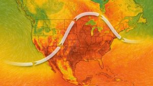 Surviving Extreme Heat