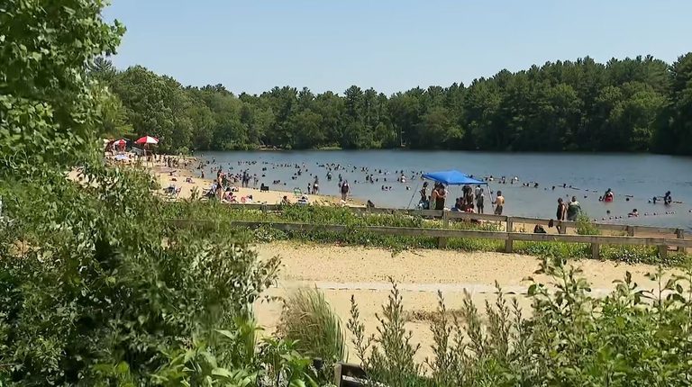 Swimmer Rescued From Houghton S Pond