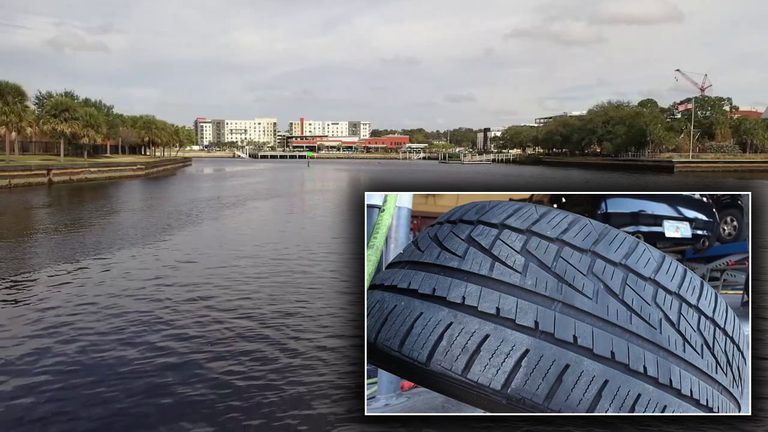 Tampa River Pollution Study