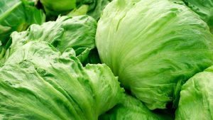 Taylor Farms Recalls Iceberg Lettuce Amid Outbreak
