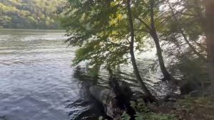 Teen Rescued From Lake Zoar