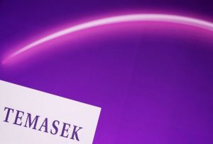 Temasek Targets Ai Investments