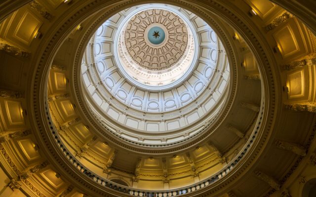Texas Investigates Birth Tourism