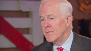 Texas Sen Cornyn Delays Trump S Attorney General Nominee