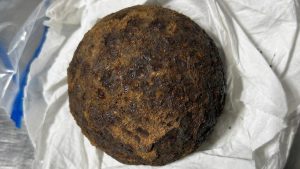 Tsa Finds Stolen Civil War Cannonballs