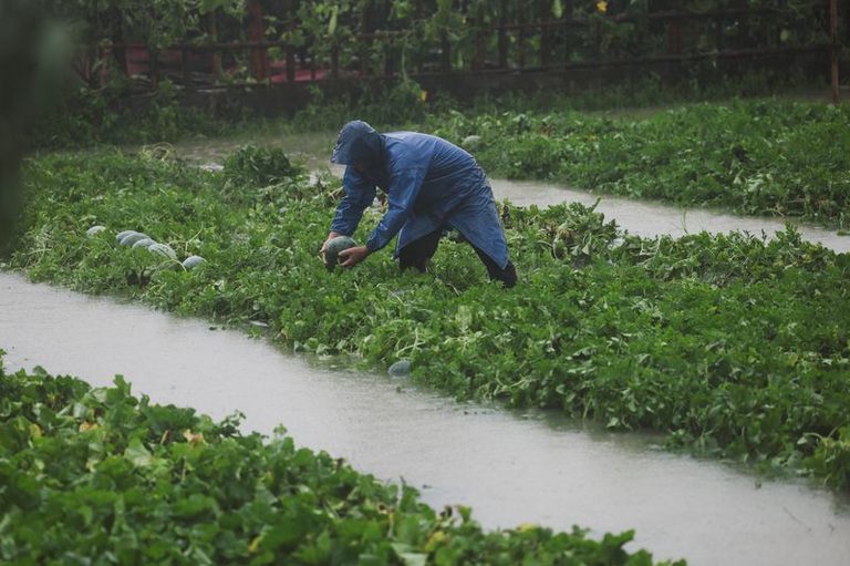 Typhoon Bavi Hits East China