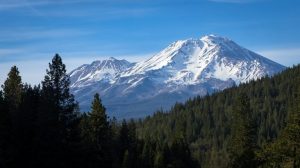 U S Forest Service Employees Rescued After Hostage Situation