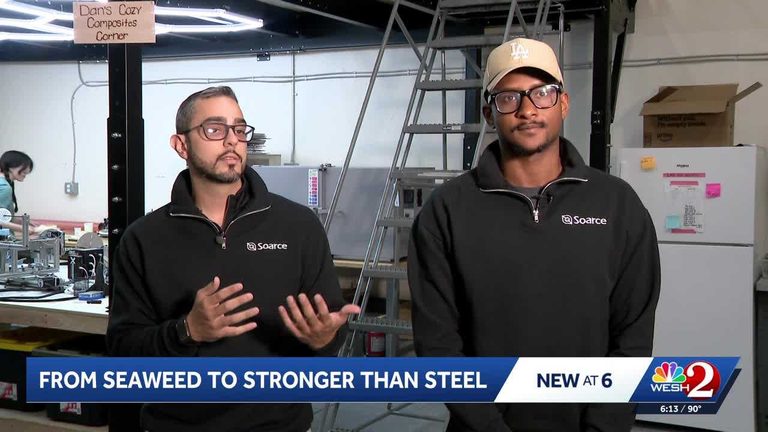 Ucf Grads Turn Seaweed Into Tech