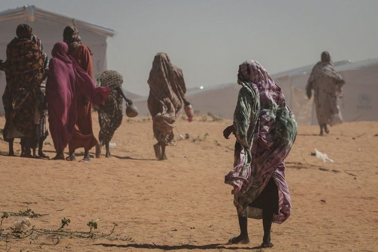 Un Probe Sudan Forces Commit Genocide