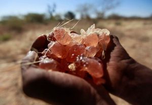 Un Warns Sudan Gum Arabic Trade Fuels Civil War