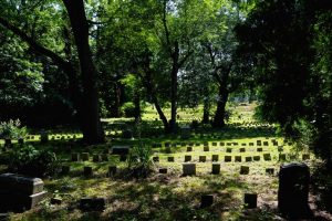 Unmarked Graves At New Haven Cemetery