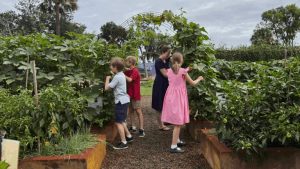 Urban Farm Wins Right To Operate