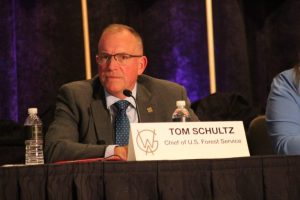 Us Forest Service Reorganizes