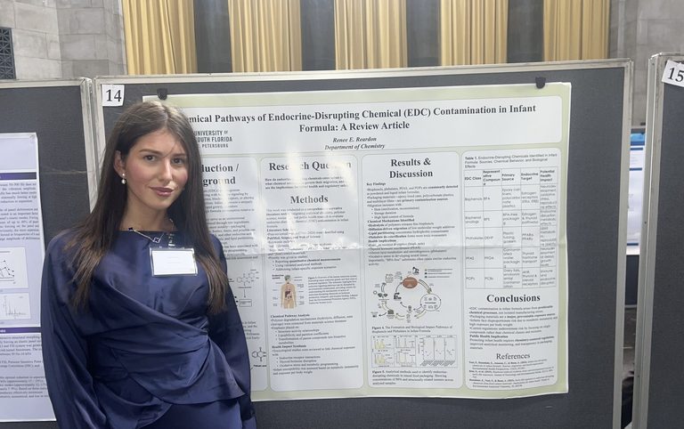 Usf St Pete Student Creates Study Platform