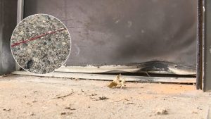 Vandalism Damages Home