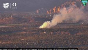 Vegetation Fire In Redmond