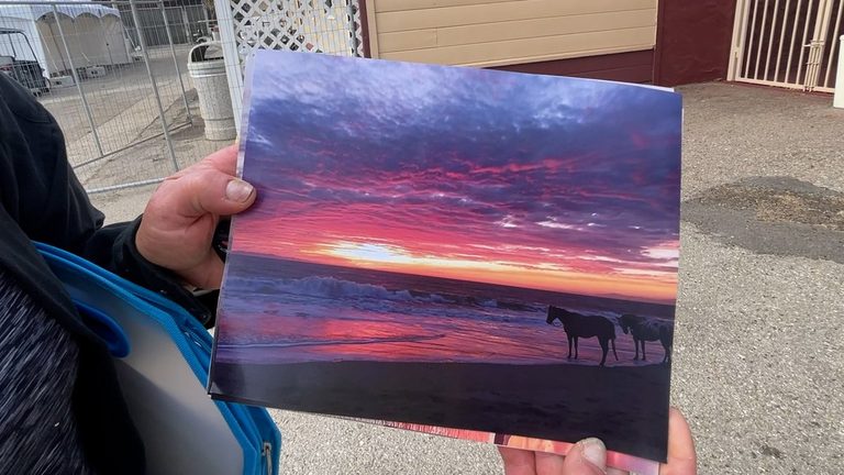 Ventura County Fair Showcases Local Artists