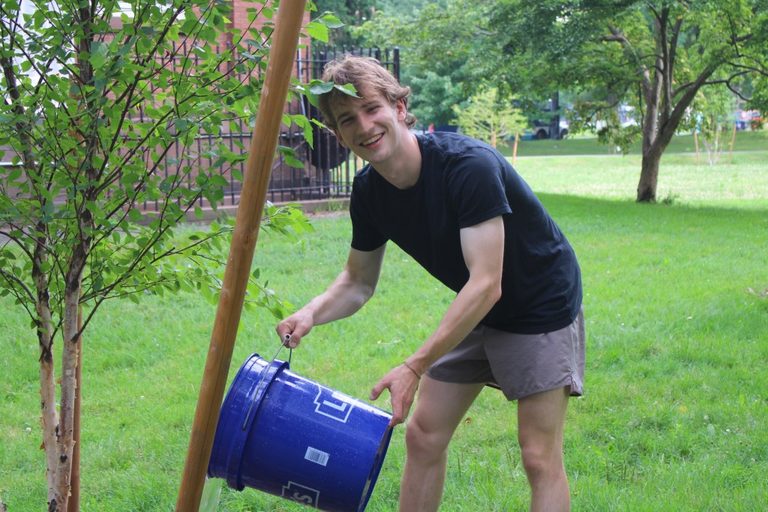 Volunteers Water New Trees