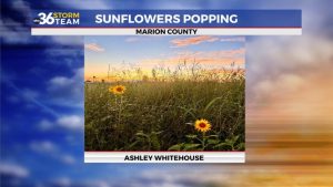 Weather Pattern Shifts In Kentucky