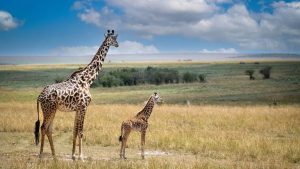 Weird News Roundup
