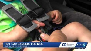 West Des Moines Toddler S Death Sparks Heat Safety Reminder