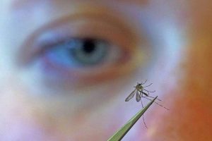 West Nile Virus Season Off To Early Start