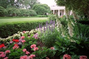 White House Rose Garden