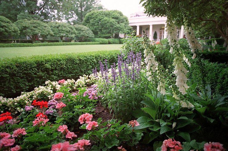 White House Rose Garden