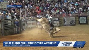 Wild Thing Championship Bull Riding In Gallup