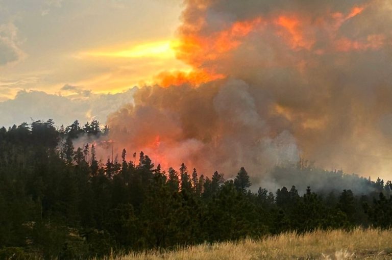 Wildfire In Albany County