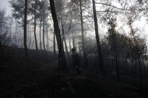 Wildfire In Greece Kills Two