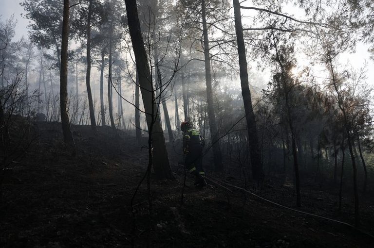 Wildfire In Greece Kills Two