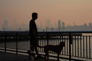 Wildfire Smoke Kills Thousands