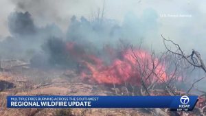Wildfires Burn Across Region