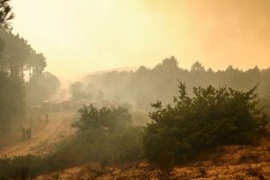 Wildfires In Europe Expose Millions To Air Pollution